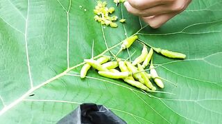 Lanjut persiapan hasil tangkapan