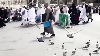 holy makkah workers hajj 2024 mashaallah # #viral #shorts