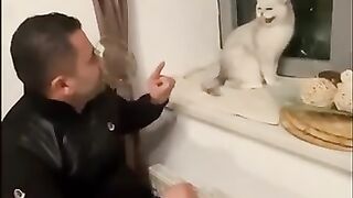 قط متمرد مضحك جدا