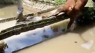 Dangerous animals in the Amazon rain