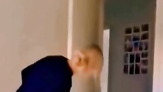 Funny Animals 44