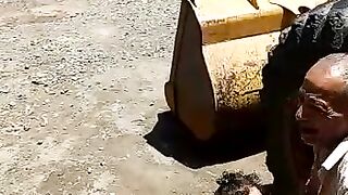 طفل يقود شيول كات