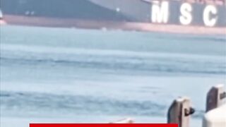 Worlds largest ship arrive at karachi port
