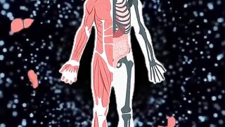 Facts About Your Body That You Didn't Know