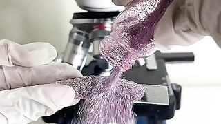 How glitter looks like in microscope