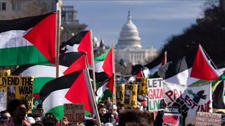 Independents disgusted by proPalestine protests running rampant in the US