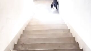 Jogador 2