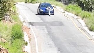 Desafiando o perigo