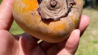 Persimmon fruit