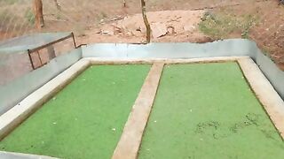 Azolla farming