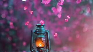 Hazrat Ali quotes in Urdu 205