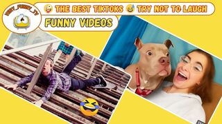 Funny videos / The best Tiktoks / Try not to laugh