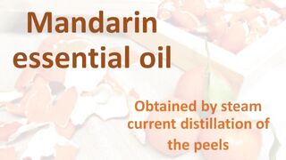 Distillation of Mandarin essential oil