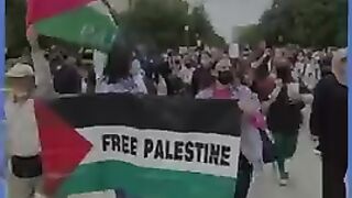 Palestine protest participants disciplined at UT Austin