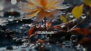 Razzaq5-A Imtehan Ka Jahan hai Jisse Akhirat pe Yaqeen Ho ????_Islamic What's app Stet_144p. plz subscribe and watch my video