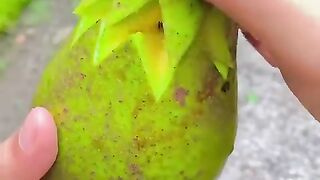 Avocado 4