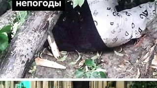 ПОЙНТ МОЛДОВА 103
