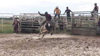 Rodeio