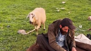 الحياة البرية 2