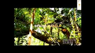 Spécial Atagnala