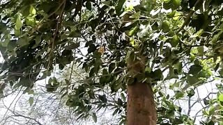 Cool wind