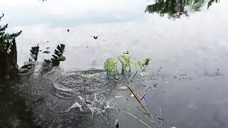 Fun fishing
