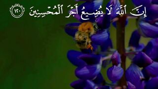 Quran Surah 28