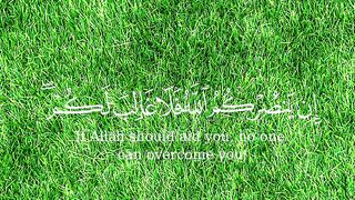Quran Al Kareem 43