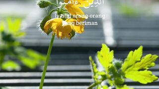 Quran Surah 29