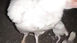 White mother