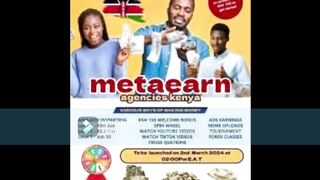 METAEARN AGENCY WORLDWIDE