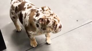 Rulphy fighting back with mom