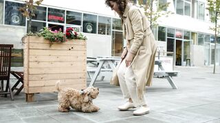 Alles, was du über BARF für deinen Hund wissen musst – Online-Kurs der Dogtisch Academy 2