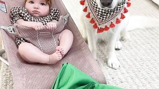 My baby and dog
