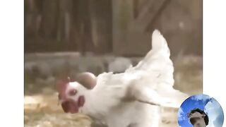 لقشاق الضحك