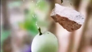 لعشاق الروعه