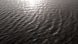 Tap on a clip to paste it in the text box. 3