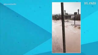 TEMPORAL///suscríbete ????????