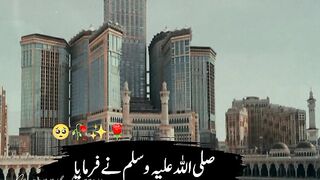 Very Emotional Status Muzammil Hussain Madni Official