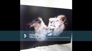 Andy's Nail Salon 35