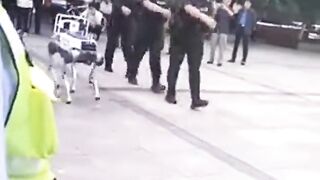 Marching robot