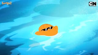 Funny   chases