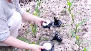 Funny video