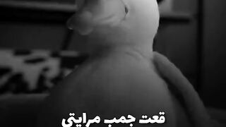 ???????? قعت جمب مرايتي