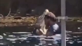 Dance with alligator????????