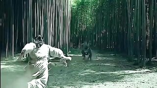 Chinese fighter man and lighter fight