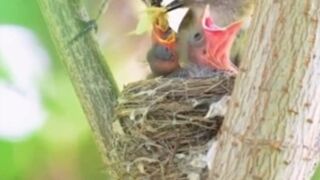 Motherhood is always amazing????! 2