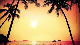 Simple Plan - Summer Paradise ft. Sean Paul (Lyrics) #trending