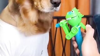 dog licking candy