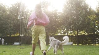 how to train your pets